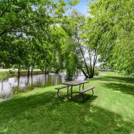 Table and chair by the lake and trees