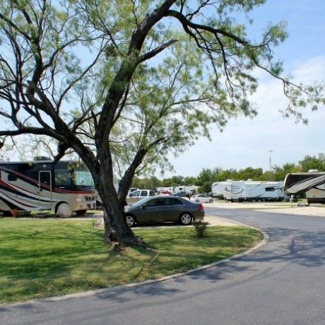 Several RV parked next to the trees